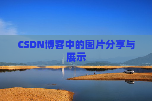 CSDN博客中的图片分享与展示